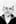 Thomas Pynchon